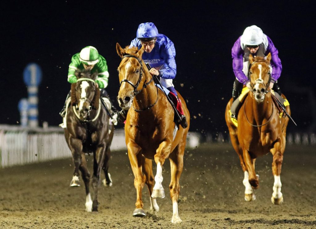 每日賽馬晚報（2026年2月27日），🇭🇰🇦🇺田泰安被請參加新市場讓賽，🇬🇧Hidden Force能否成高多芬三歲主力