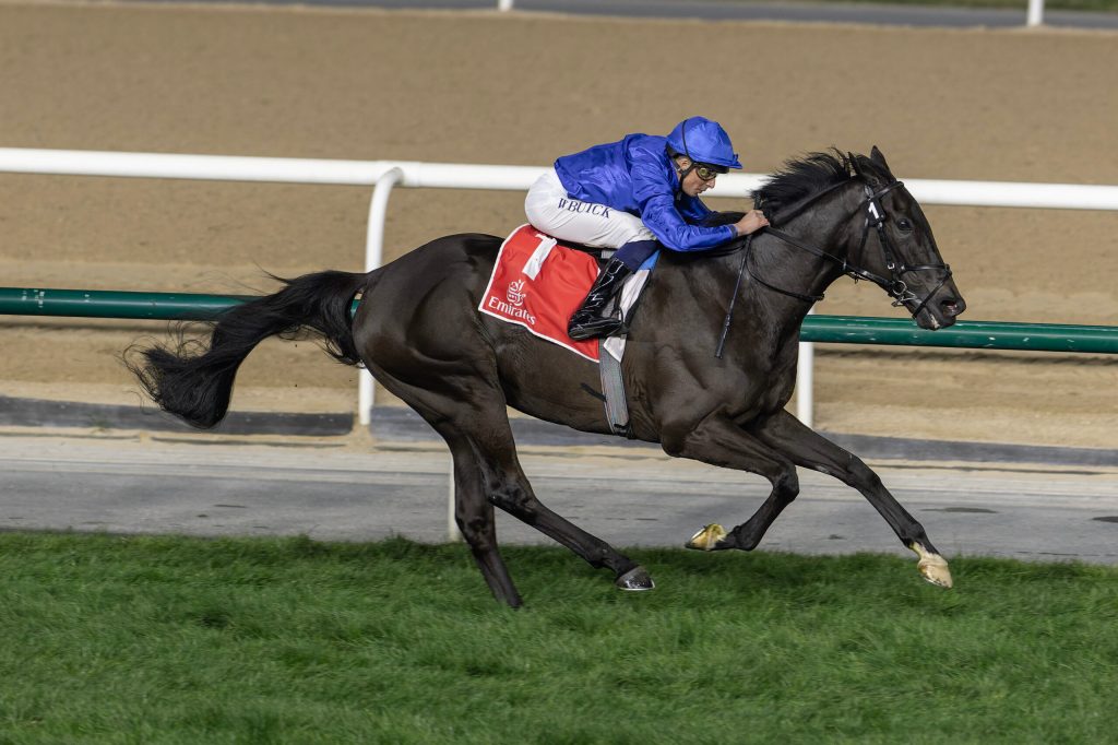 杜拜黃金之都錦標，桀驁之戀大熱表演