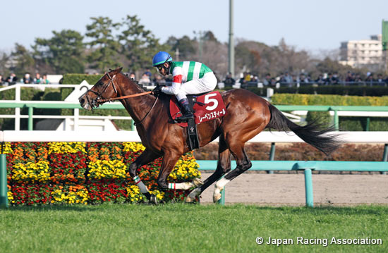 中山紀念賽，生活格調再贏二級賽