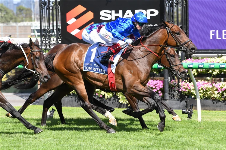 全明星一哩賽，倜儻小貓成功衛冕