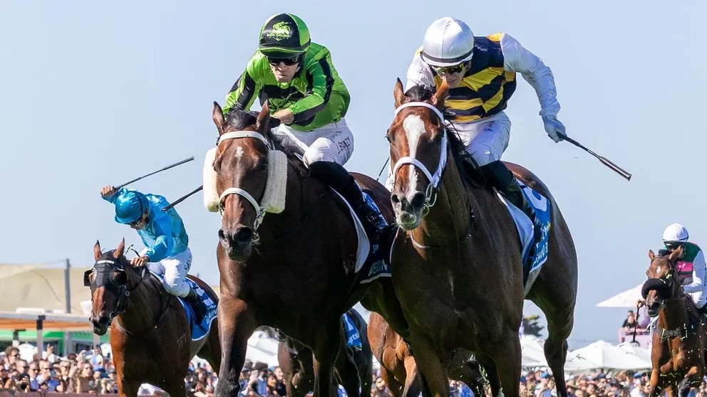 每日賽馬晚報（2026年3月10日），🇦🇺奇力駒征戰西澳，🇬🇧🇦🇪榮譽心確定鎖定杜拜世界盃