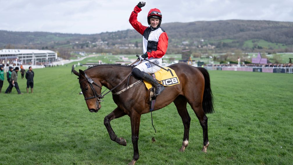 每日賽馬晚報（2026年3月14日），🇦🇪杜拜世界盃嘉年華受無人機影響一度暫停，🇯🇵十萬人同時觀看Green Channel完全免費直播