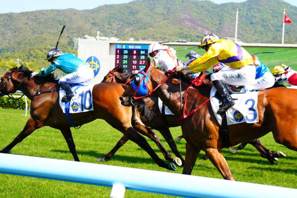 每日賽馬晚報(2026年3月15日),🇹🇷土耳其發生純種馬當馬肉吃掉,🇯🇵戶崎圭太停賽兩週野田分位爭奪戰