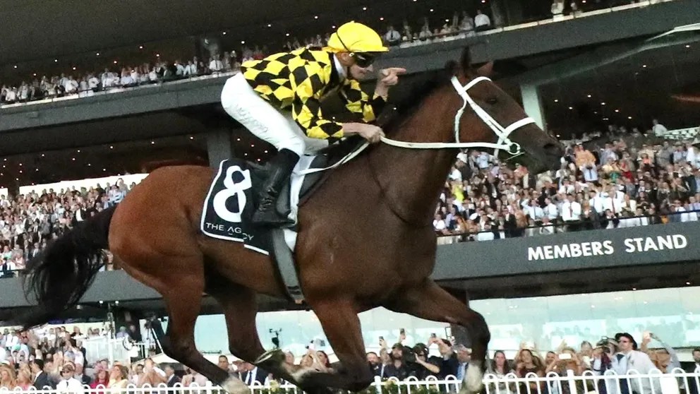 佐治萊德錦標，秋暉十一連勝無難度