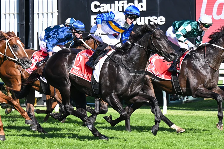 每日賽馬晚報(2026年3月21日),🇫🇷🇦🇪格倫島參加杜拜賽事開綠燈,🇦🇺拼圖澳洲一級賽順利解謎