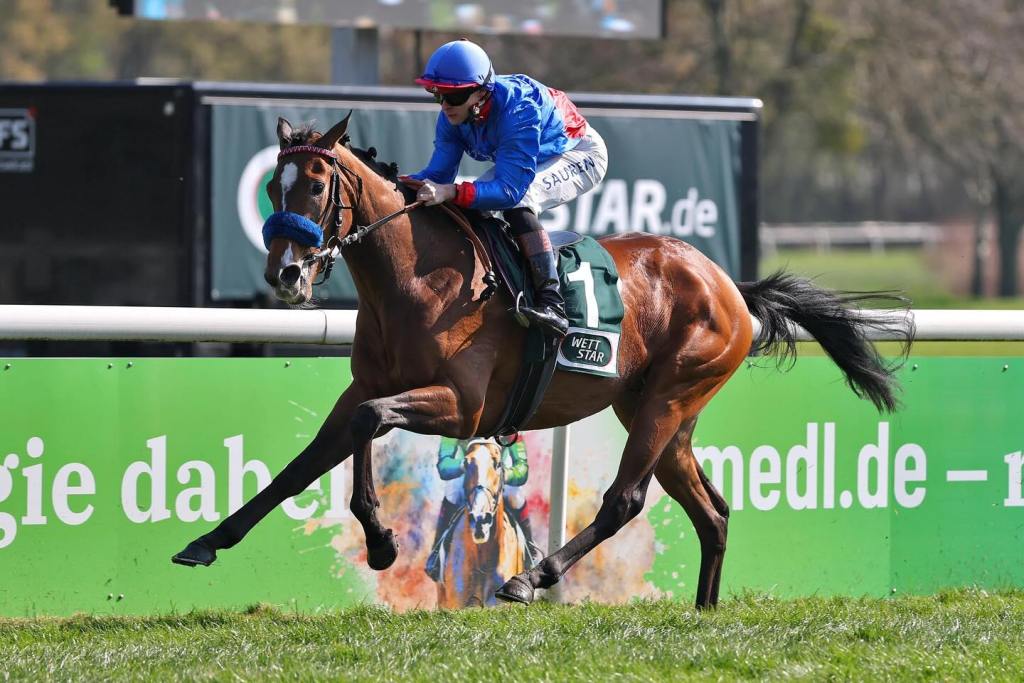 每日賽馬晚報（2026年3月24日），🇬🇧Constitution Hill週三金頓上陣，🇦🇪杜拜世界盃賽馬日非一級賽排位