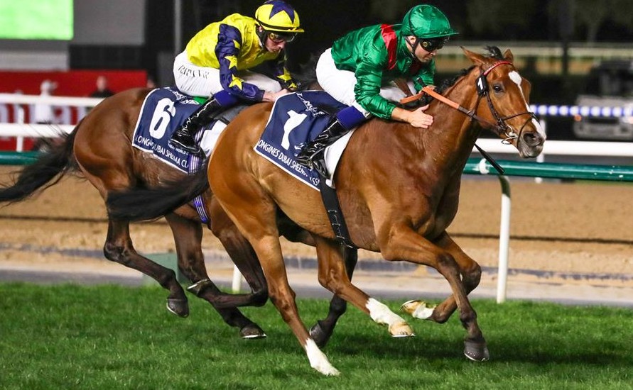 杜拜司馬經典賽，格倫島仍能趕及追上