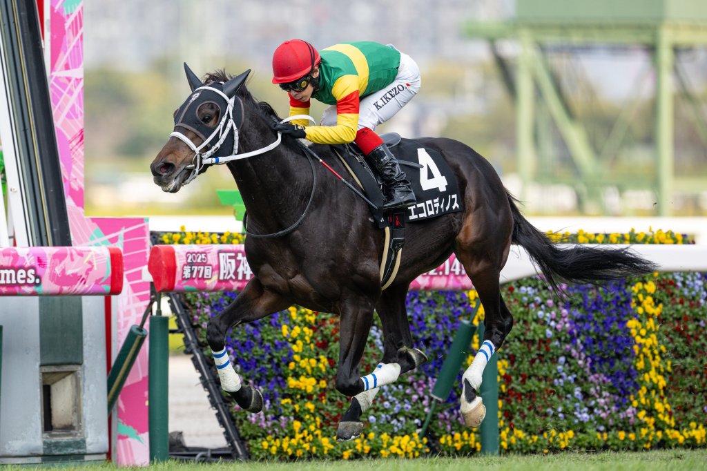 大恐龍可否完成越級大挑戰？