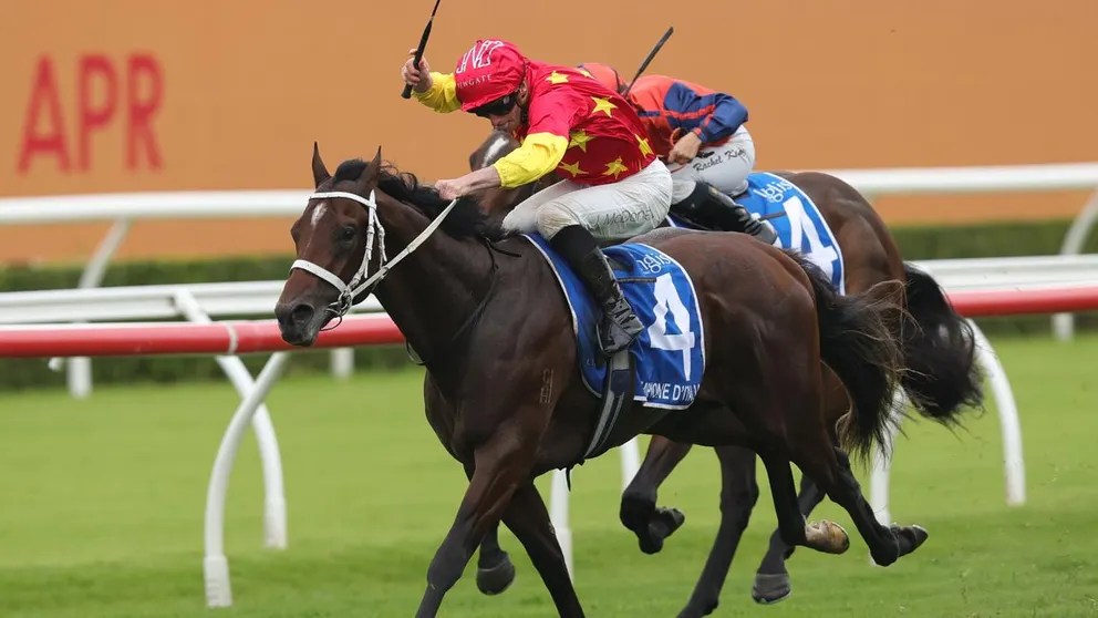 每日賽馬晚報(2026年4月4日),🇯🇵粗品大阪盃選擇馬場專家做膽,🇦🇺意飛地輕鬆飛起