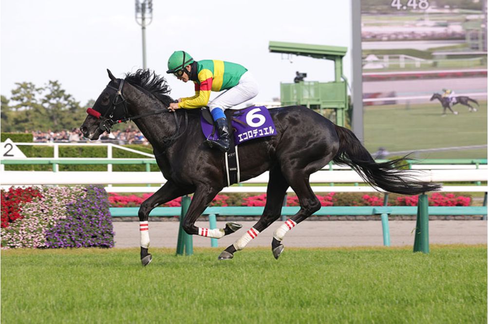 中山障礙大賽，Ecoro Duel保持霸氣