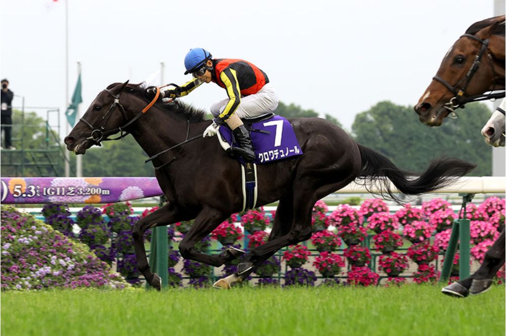 春季天皇賞，北十字星鼻毛險勝