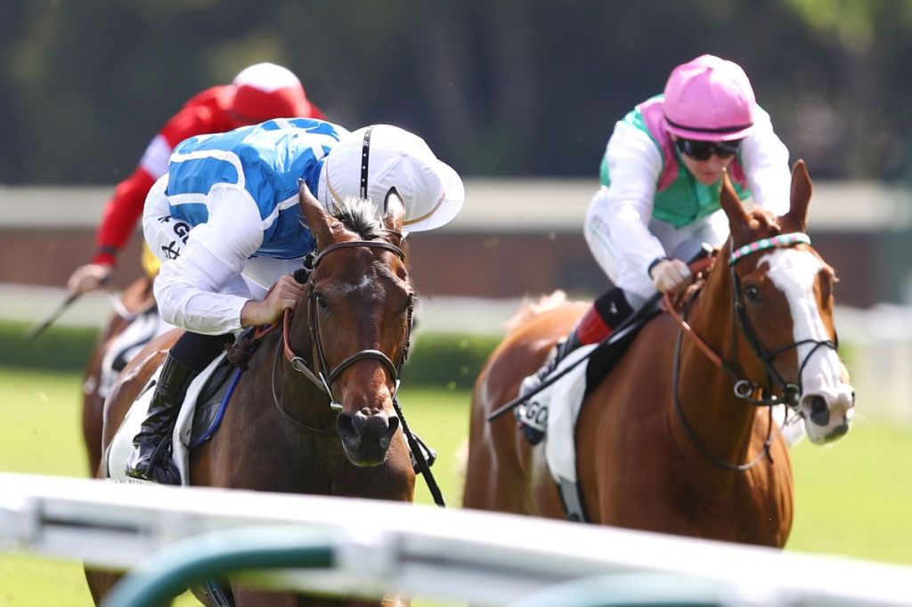 每日賽馬晚報（2026年5月25日），🇭🇰J-Mac認為浪漫勇士足成香港馬王，🇫🇷遊歷萬里跑雌馬賽立即取勝