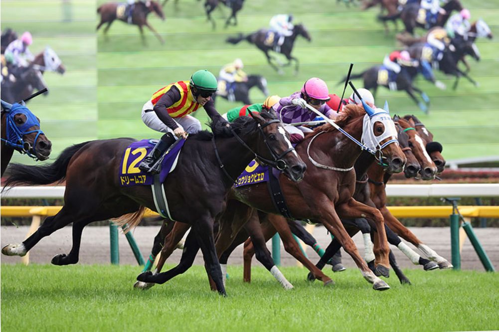 優駿牝馬，今村聖奈初戰經典賽稱霸